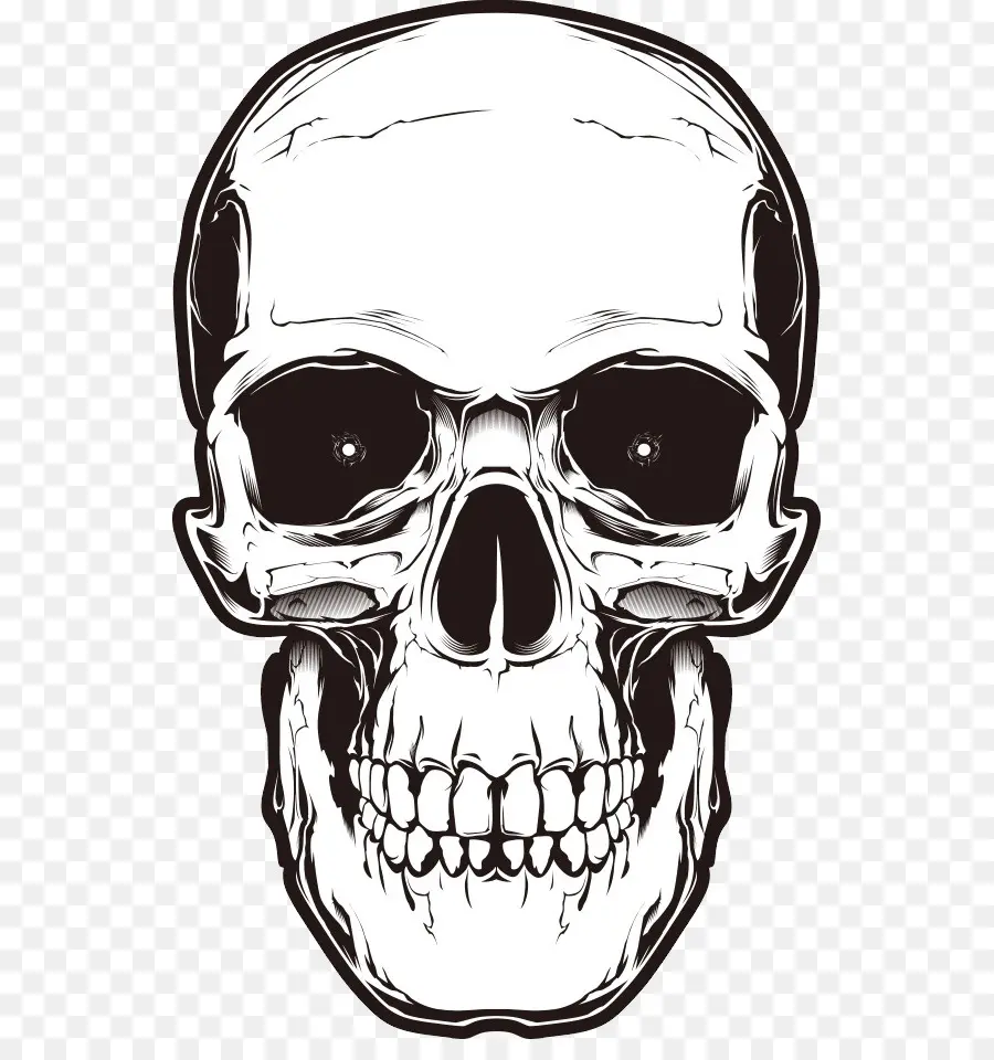 Crâne，Crâne Humain Symbolisme PNG