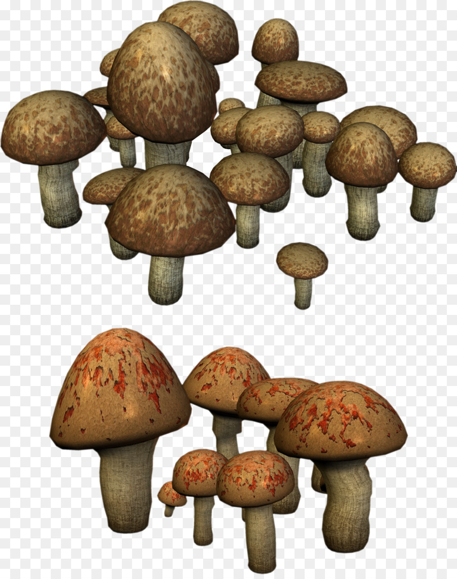 Champignons Rouges，Champignons PNG