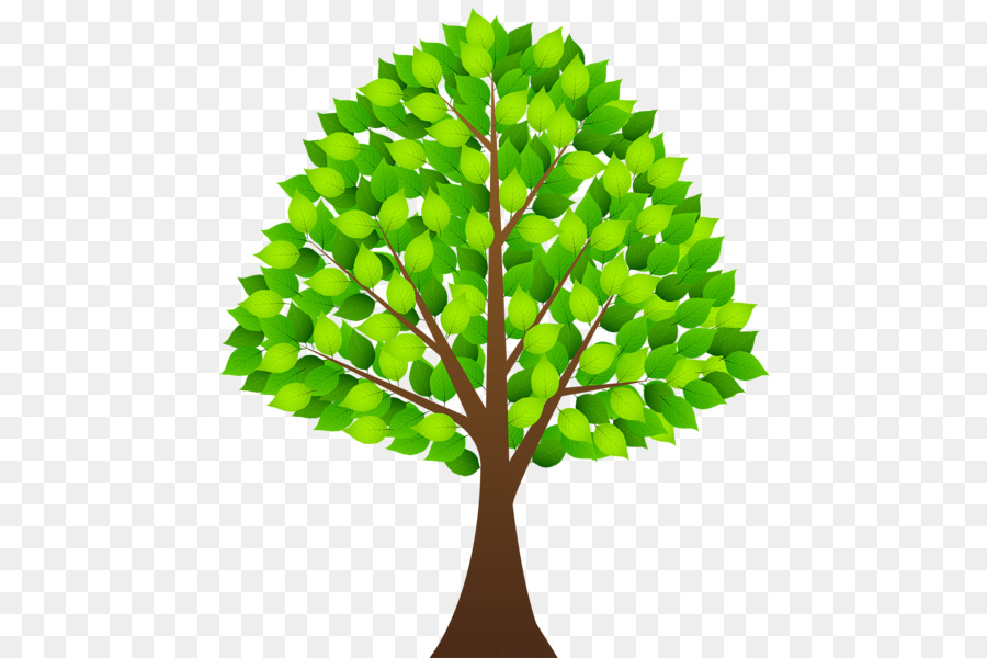 Arbre，Feuilles PNG