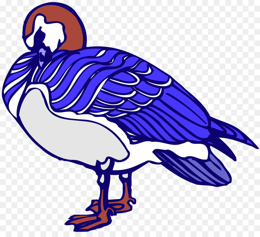 Oiseau Bleu，Oiseau PNG