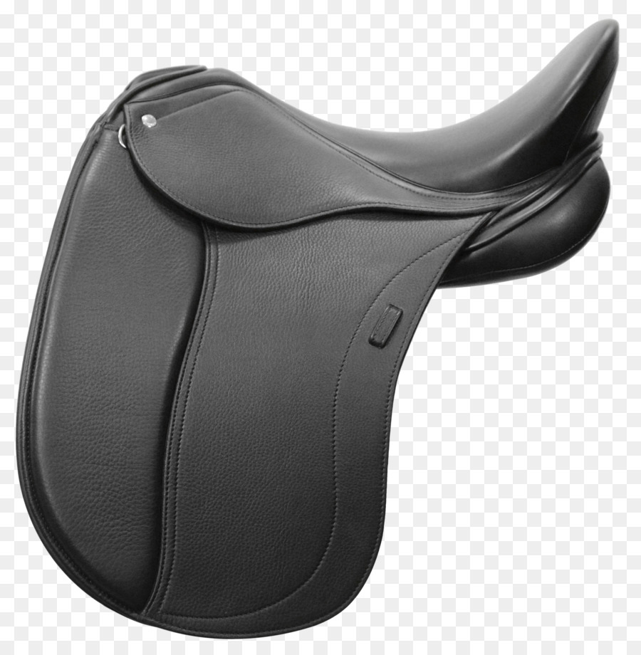 Selle Noire，Cheval PNG