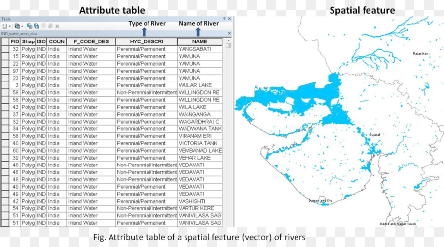 Carte，L Eau PNG