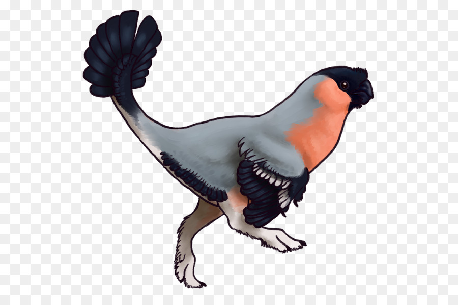 Oviraptor，Oiseau PNG