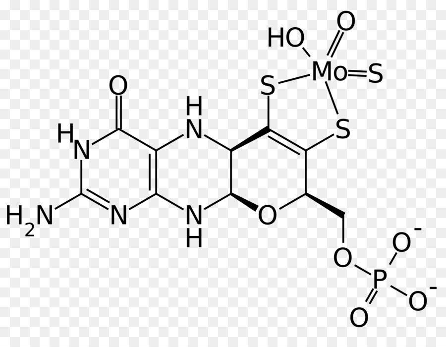 10formyltetrahydrofolate，La Tyrosine Hydroxylase PNG