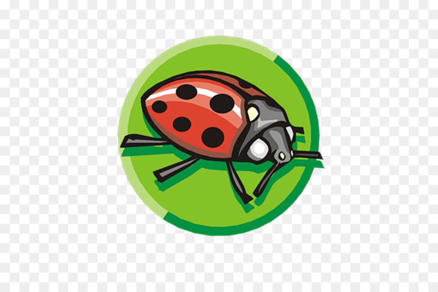 Coccinelle，Les Insectes PNG