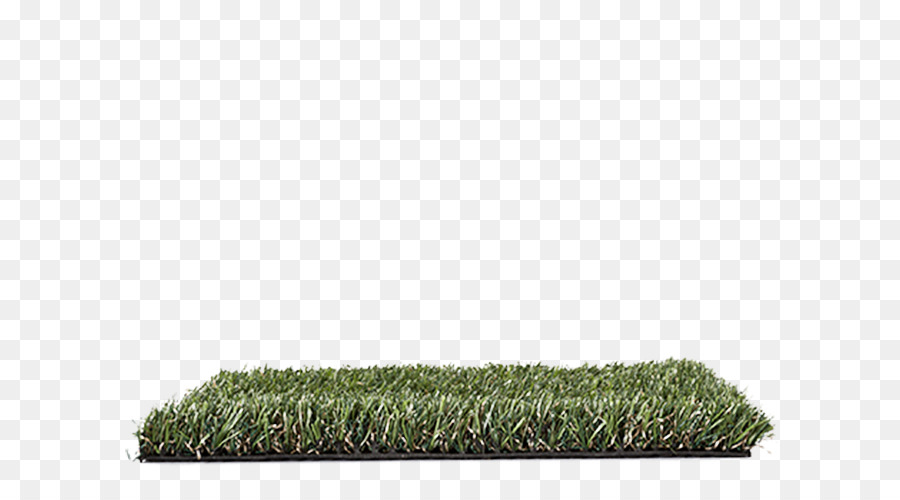 Herbe，Pelouse PNG