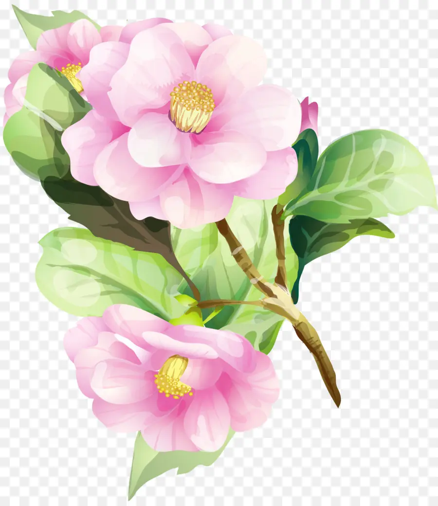 Fleur，Rose PNG