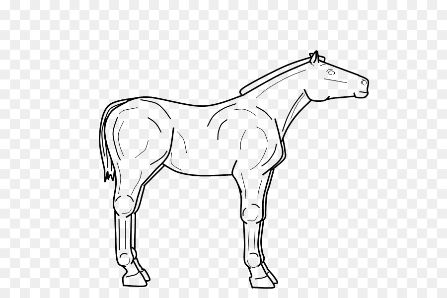 Mule，Poulain PNG