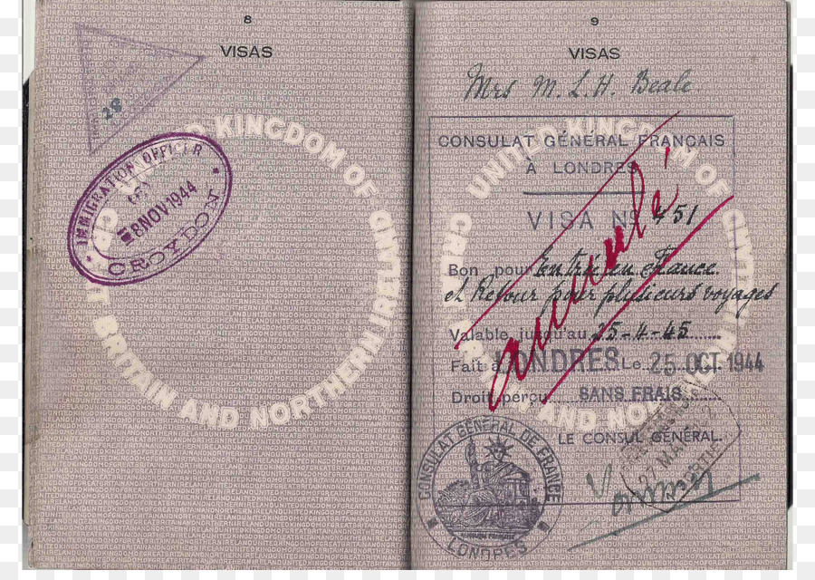 Timbres De Visa，Passeport PNG