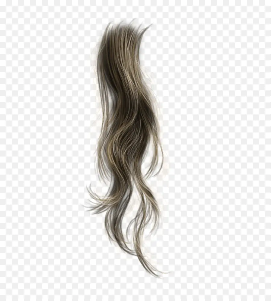Les Cheveux Bruns，Perruque PNG
