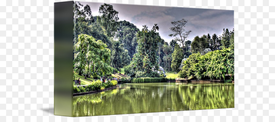 La Réserve Naturelle De，Biome PNG