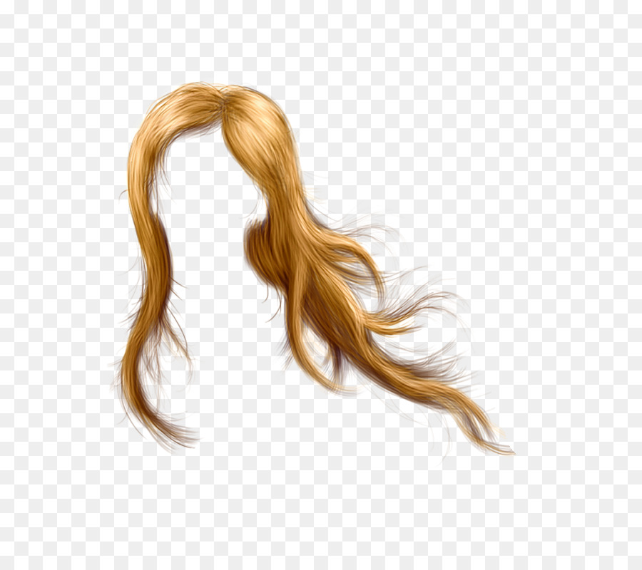 Cheveux，Brins PNG