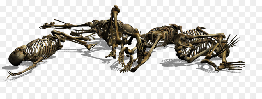 Squelette，Crâne PNG