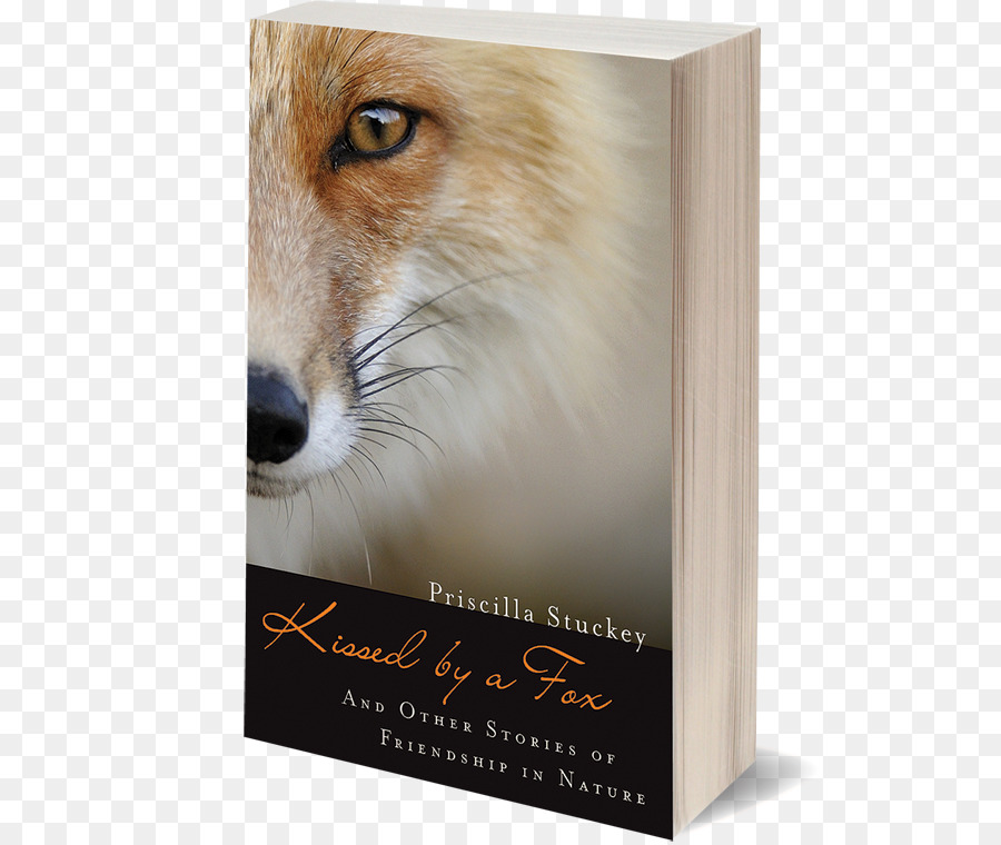 Livre，Renard PNG