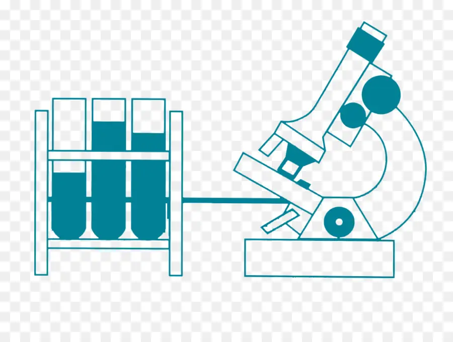 Microscope，Laboratoire PNG