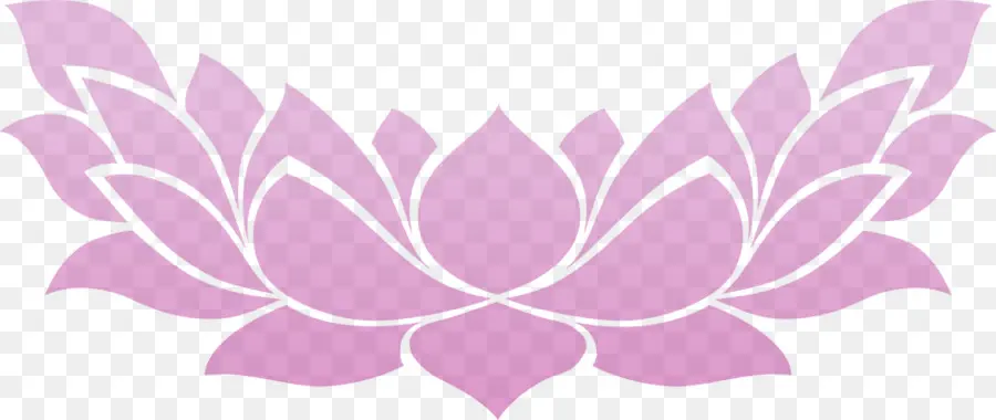 Lotus Rose，Lotus PNG