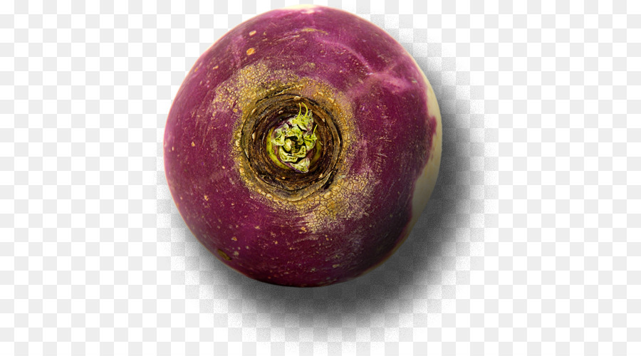 Navet，Rutabaga PNG