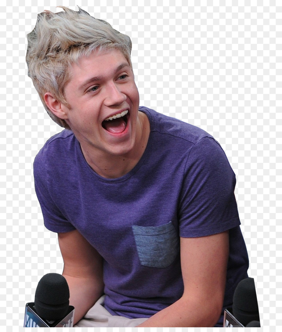 Niall Horan，Facteur X PNG