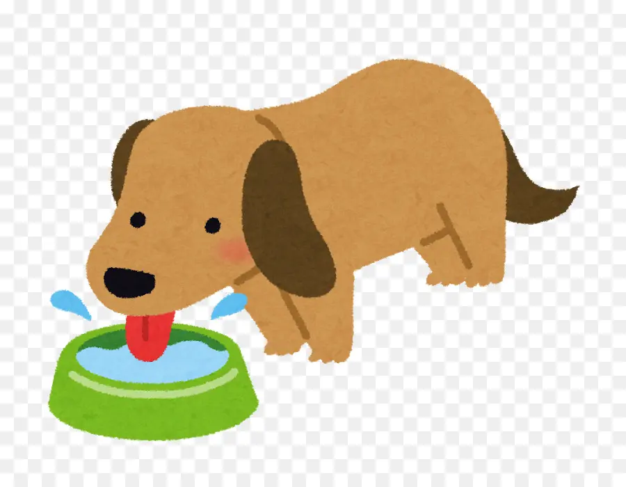 Eau Potable Pour Chien，Chien PNG