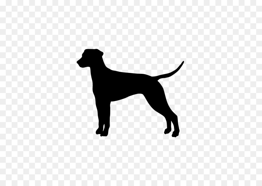 Istock，Chien PNG