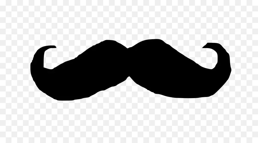 Moustache Noire，Poils Du Visage PNG