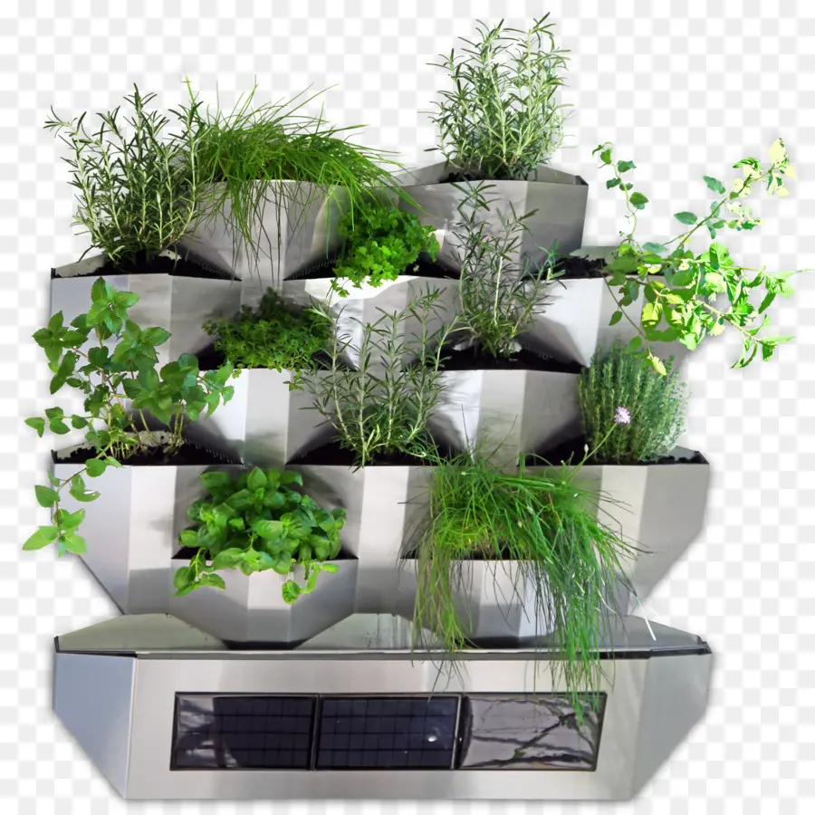 Jardin Vertical，Herbes PNG