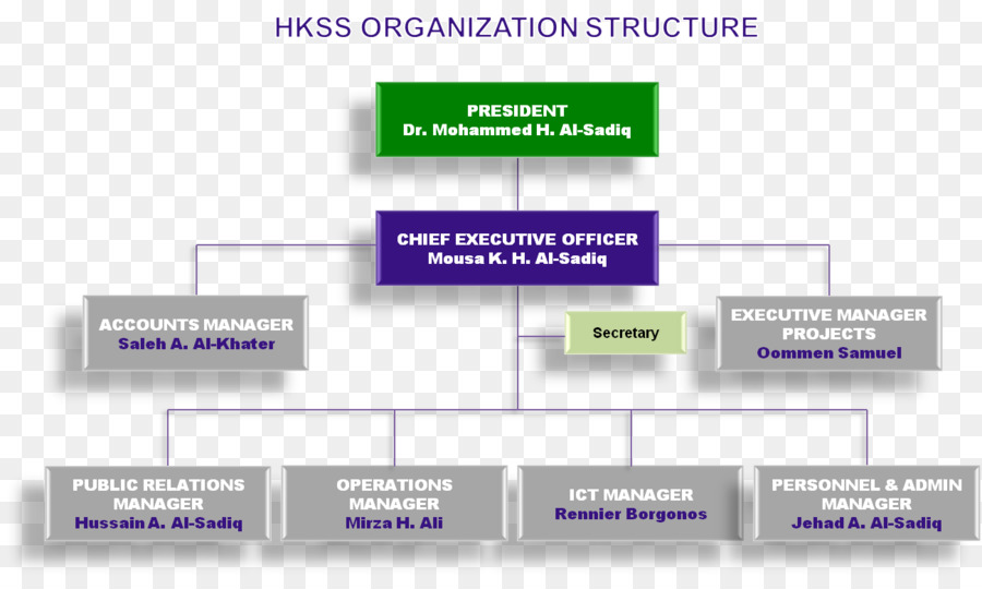 Organisation，Organigramme PNG