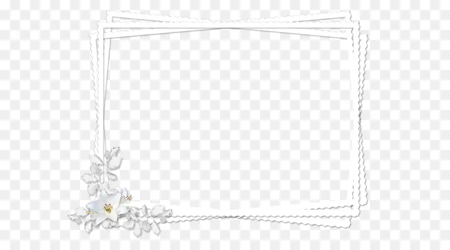 Cadre Floral Blanc，Fleurs PNG