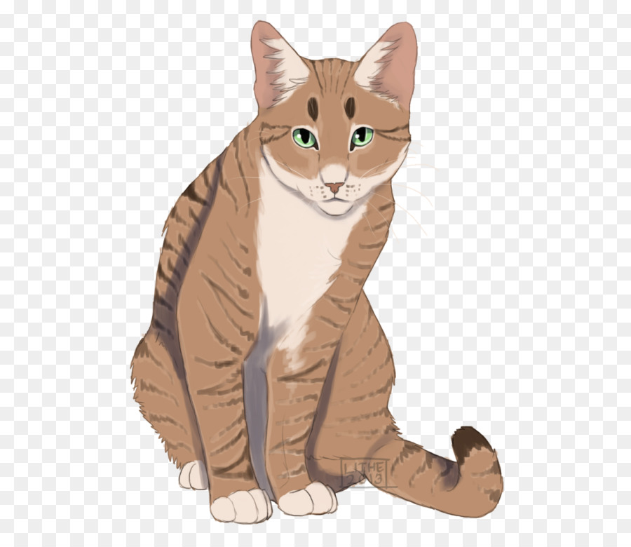 Chat Gris，Animal De Compagnie PNG