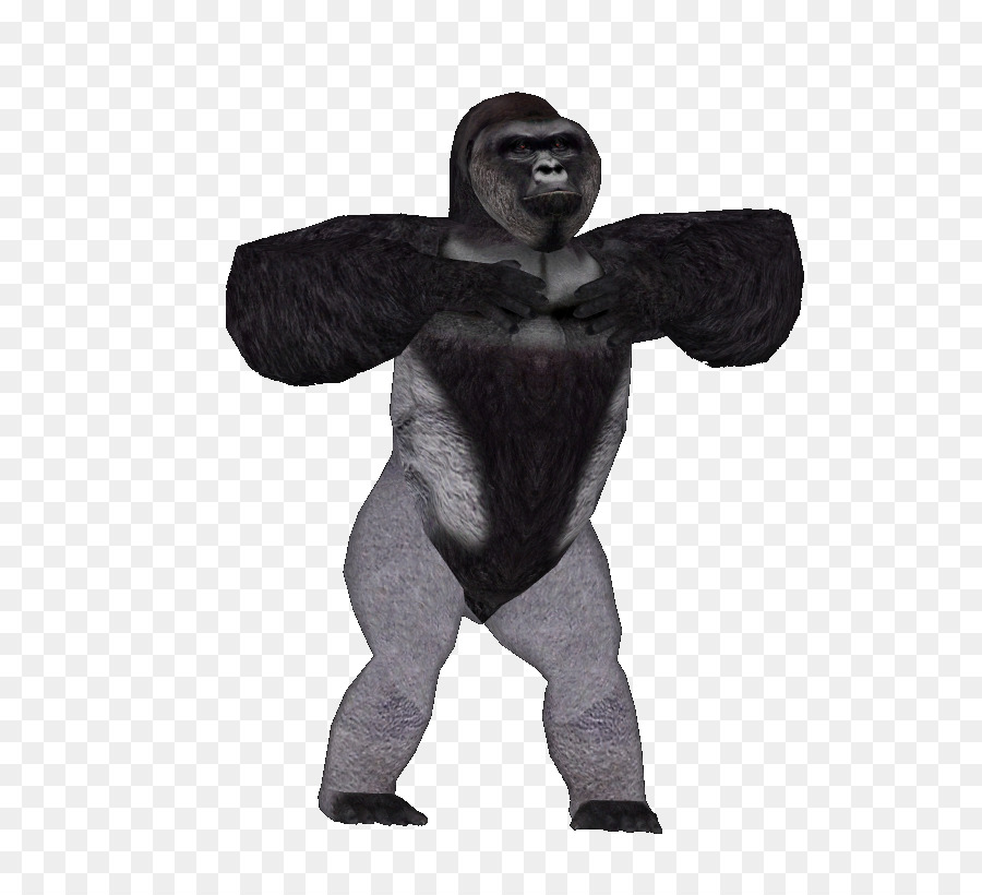 Gorille，Noir PNG