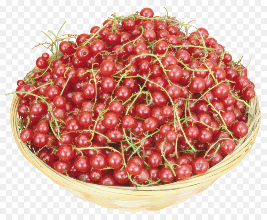 Canneberge，Fruit PNG