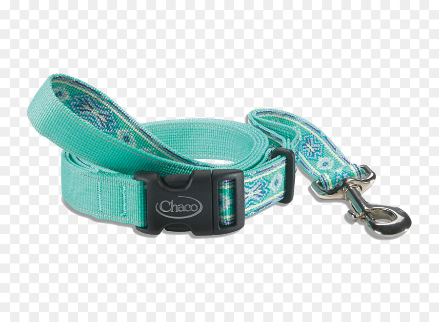 Collier De Chien，Turquoise PNG