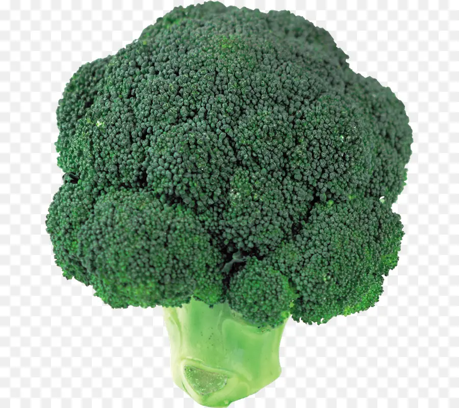 Brocoli，Vert PNG