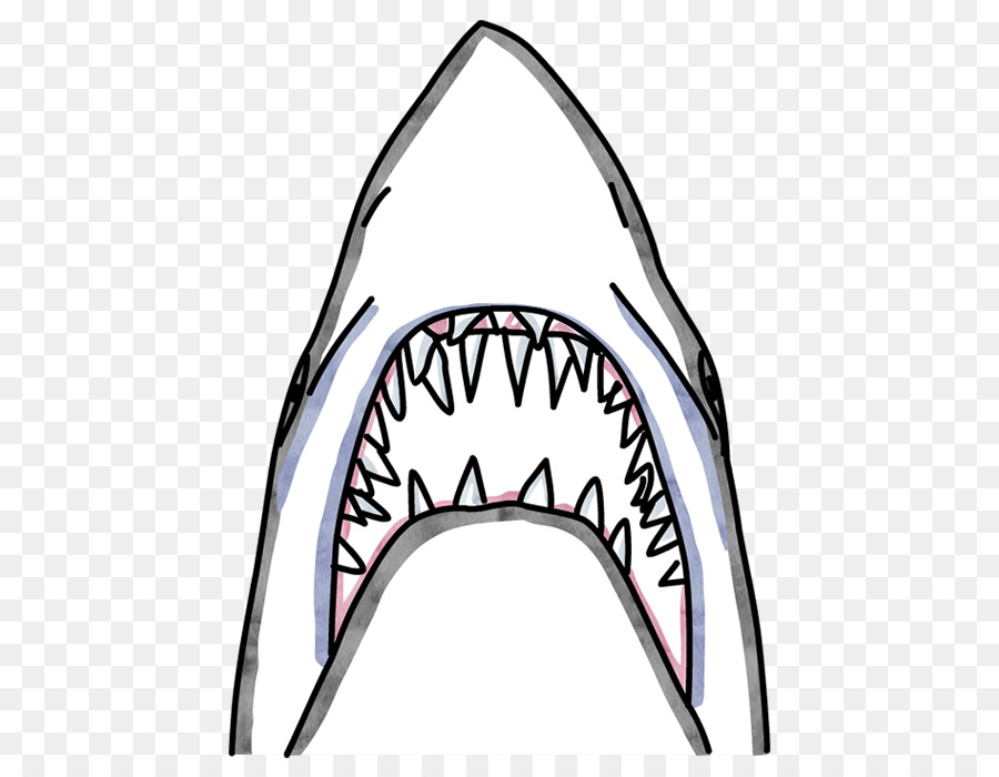 Requin，Youtube PNG