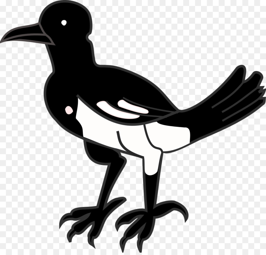 Corbeau Noir，Corbeau PNG