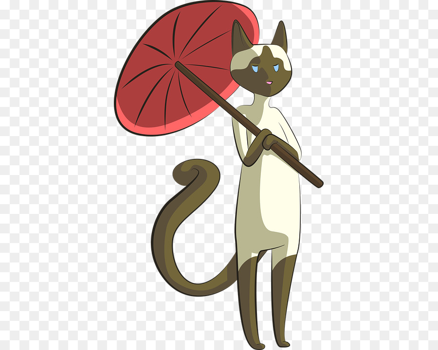 Chat Siamois，Chat Tonkinois PNG