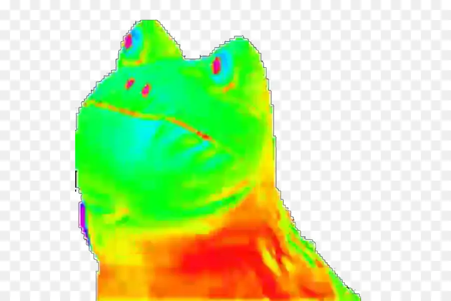 Grenouille Thermique，Coloré PNG