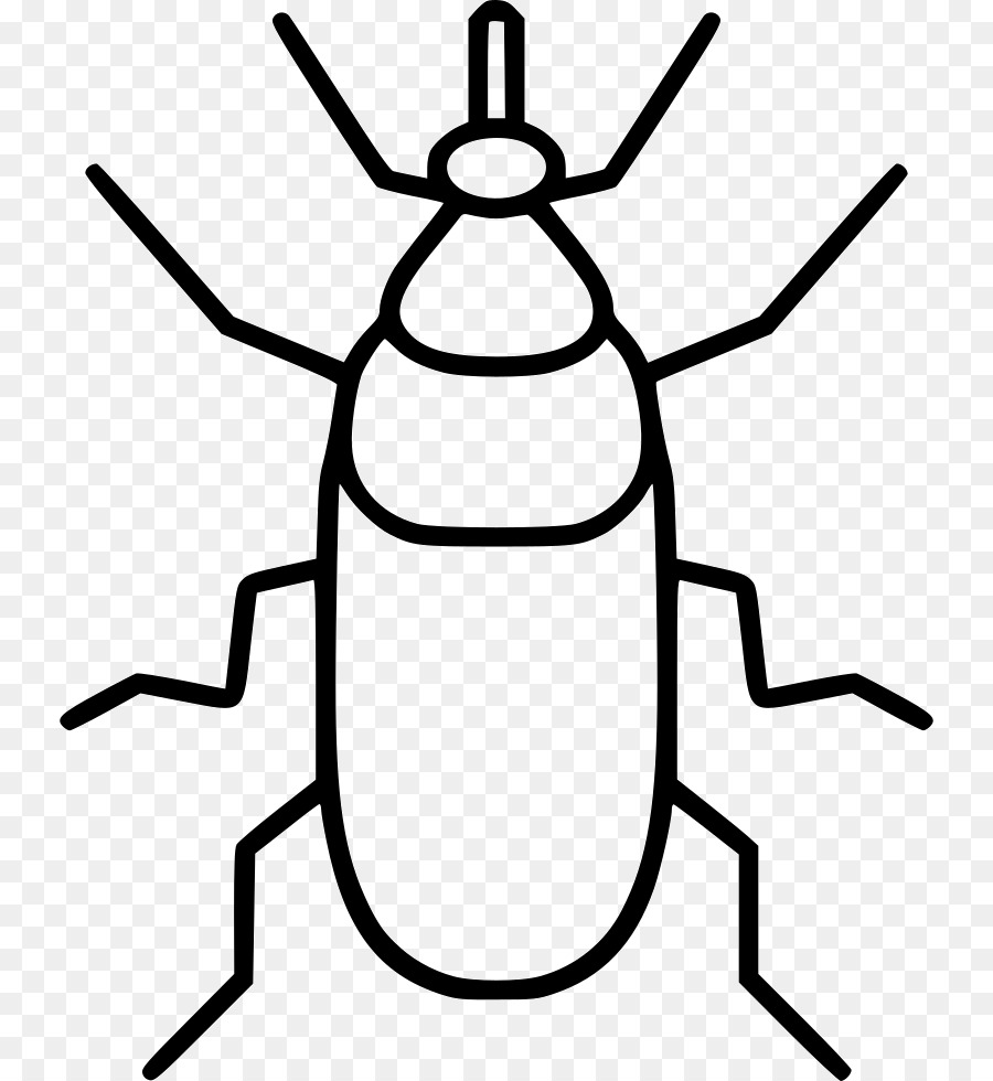 Les Insectes，Blanc PNG