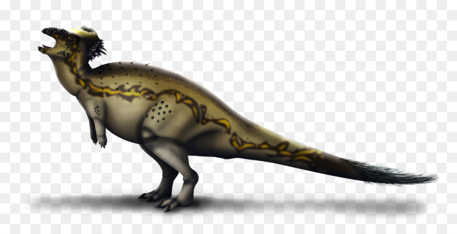 Pachycephalosaurus，Le Tyrannosaure PNG