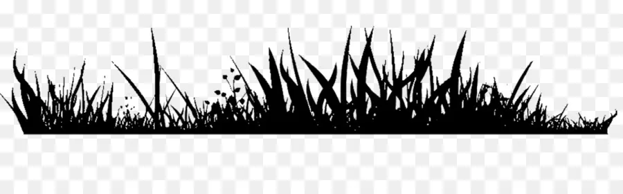 Herbe Silhouette，Plantes PNG