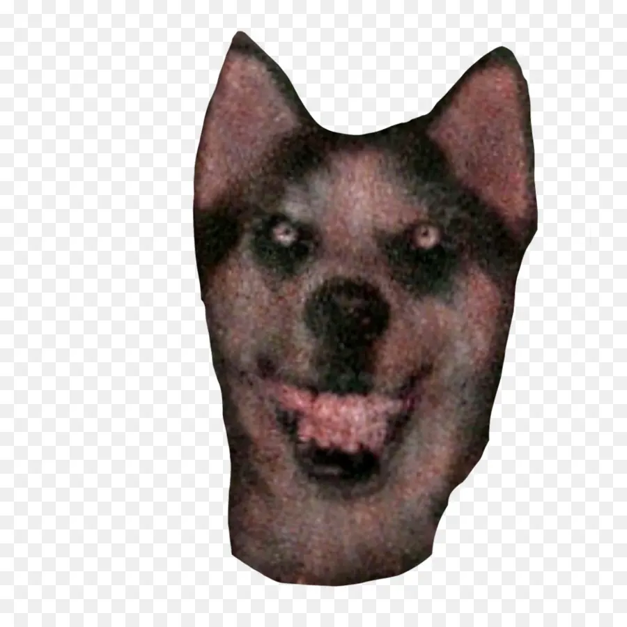 Visage De Chien，Animal PNG