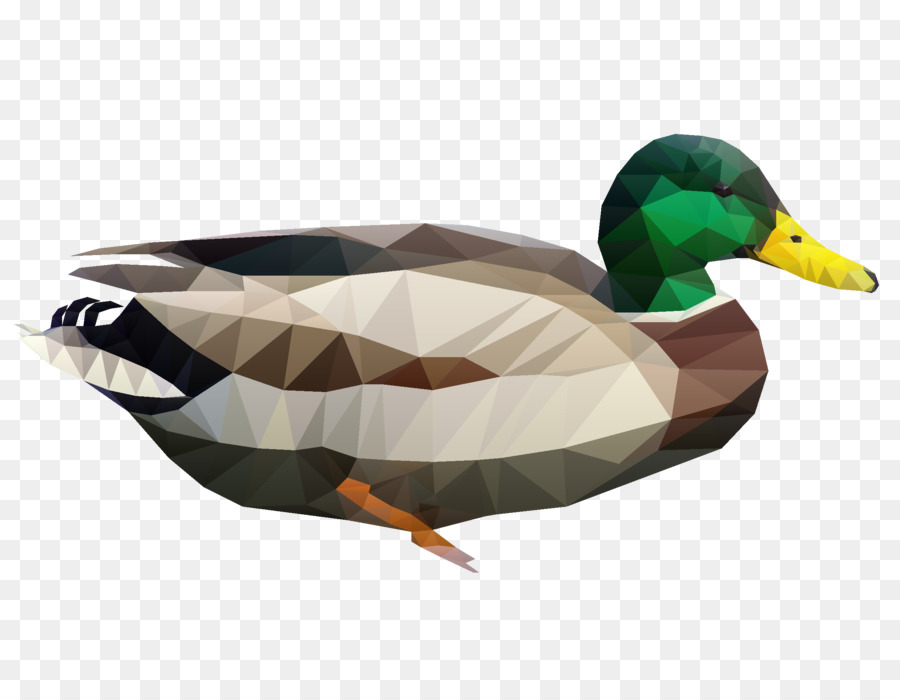 Mallard，Canard PNG