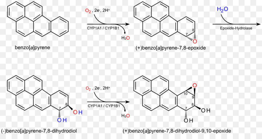 Structures Chimiques，Molécules PNG