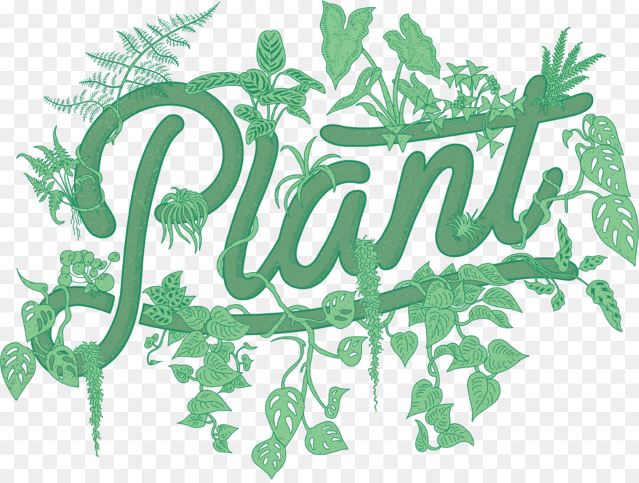 Plante Par Packwood，Tillandsia Funckiana PNG