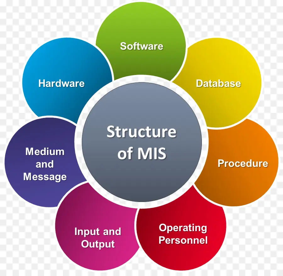 Structure Du Sig，Information PNG