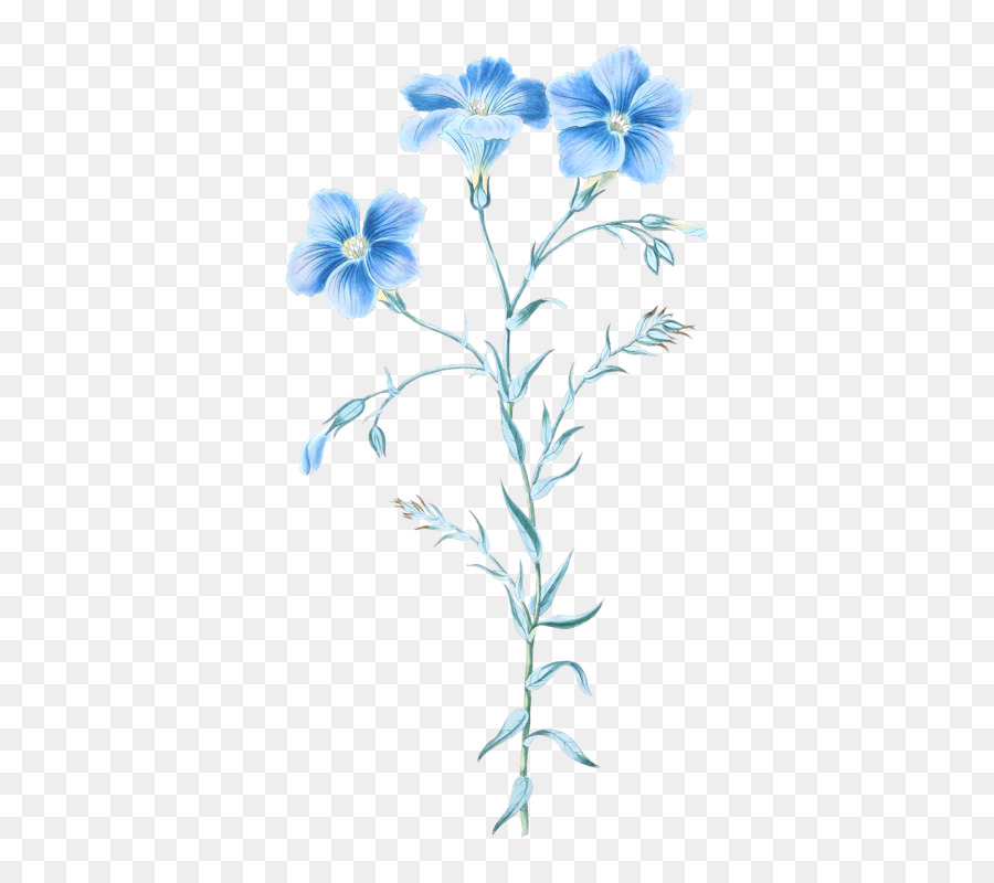 Fleurs Bleues，Floral PNG