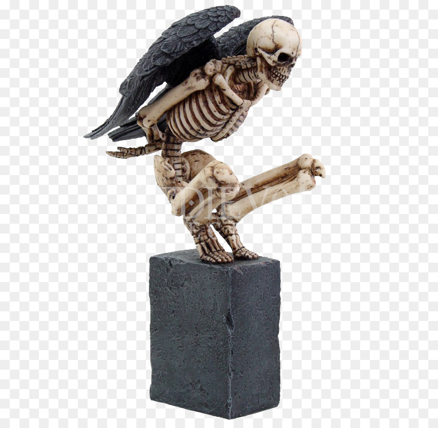 Crâne Humain Symbolisme，Squelette PNG