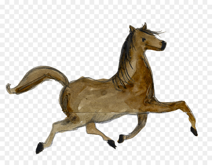 Cheval，équidé PNG