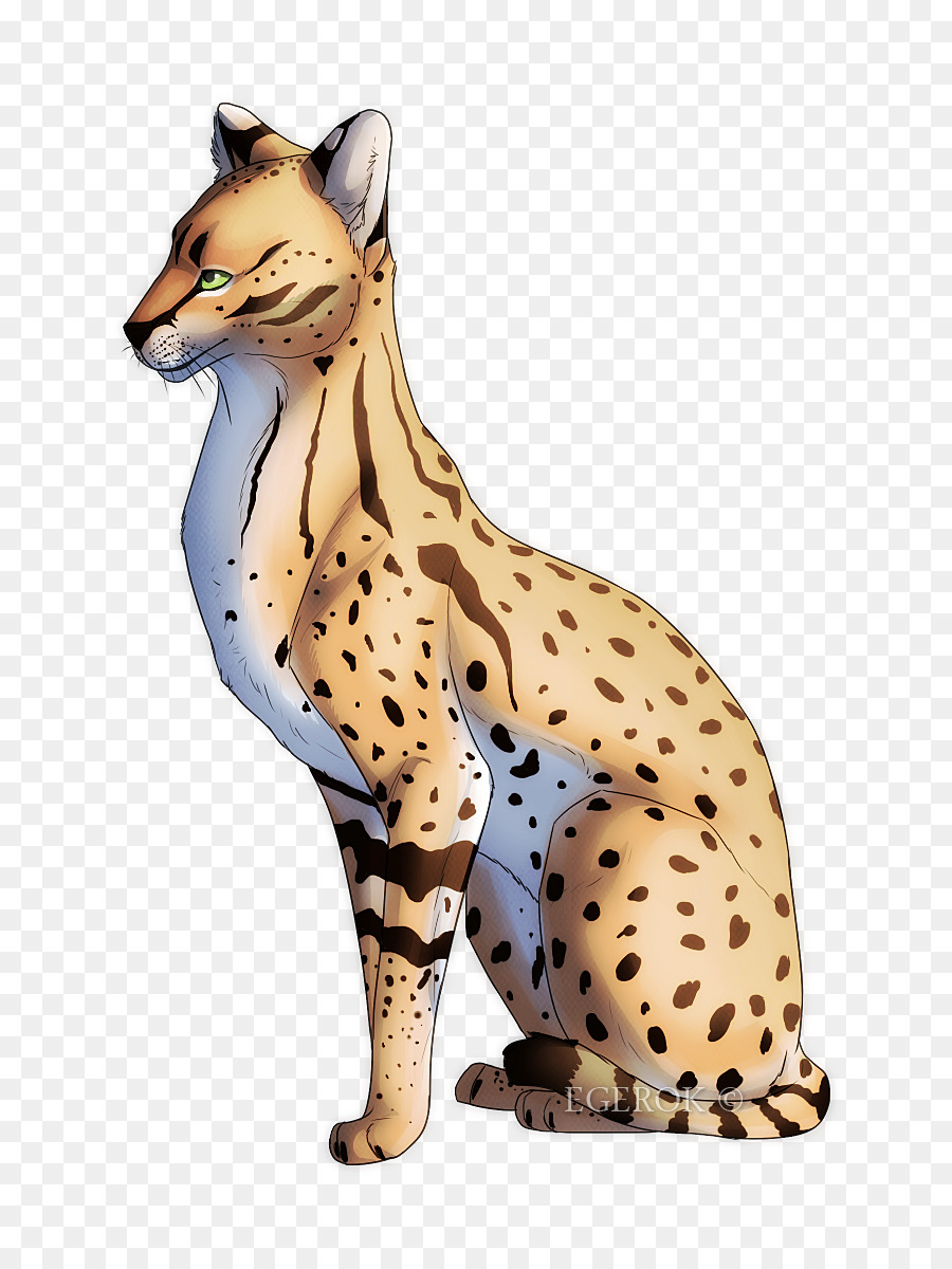 Moustaches，Guépard PNG