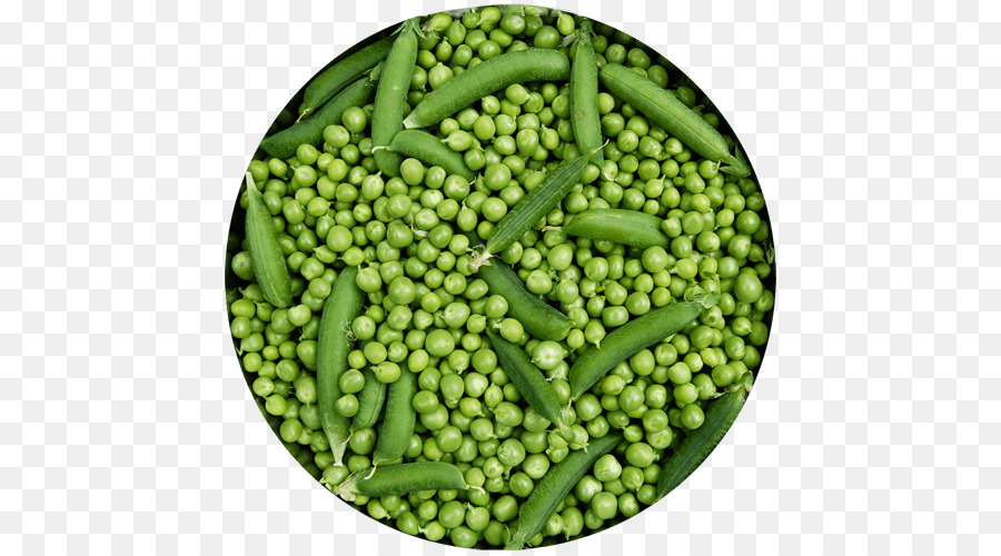 Pois Verts，Légume PNG